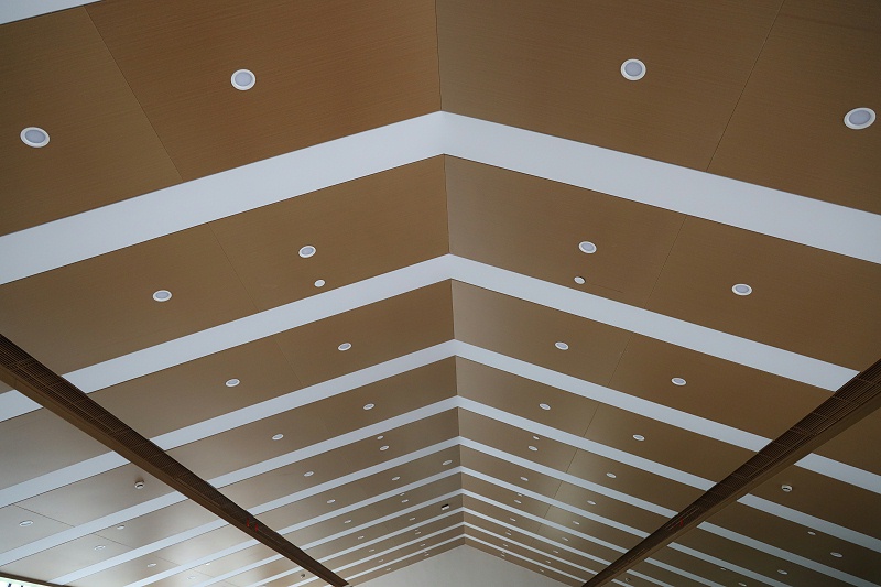 廠家定制鋁單板頂棚