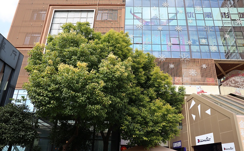 上西路凌云1街坊@氟碳鋁單板